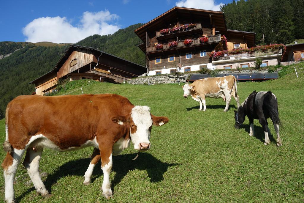 Appartement Wachtlerhof à Matrei in Osttirol Extérieur photo